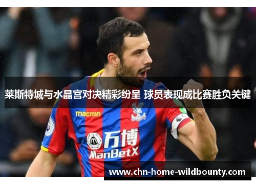 莱斯特城与水晶宫对决精彩纷呈 球员表现成比赛胜负关键